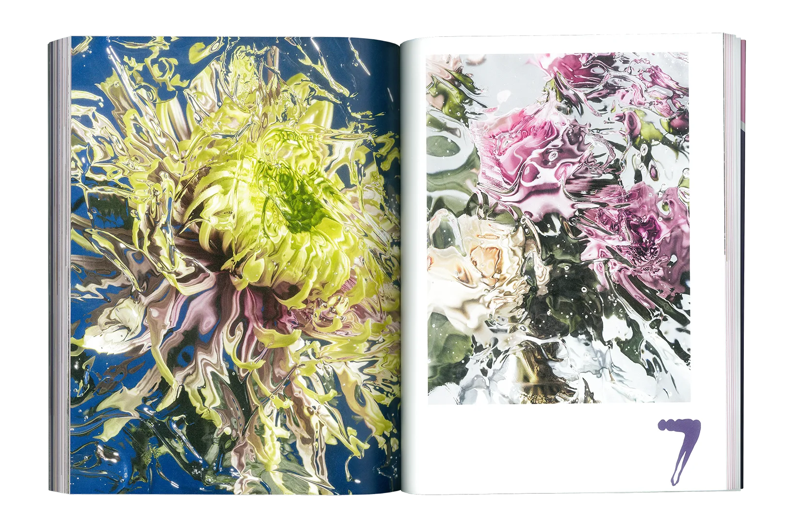 Where Flowers Bloom N.7