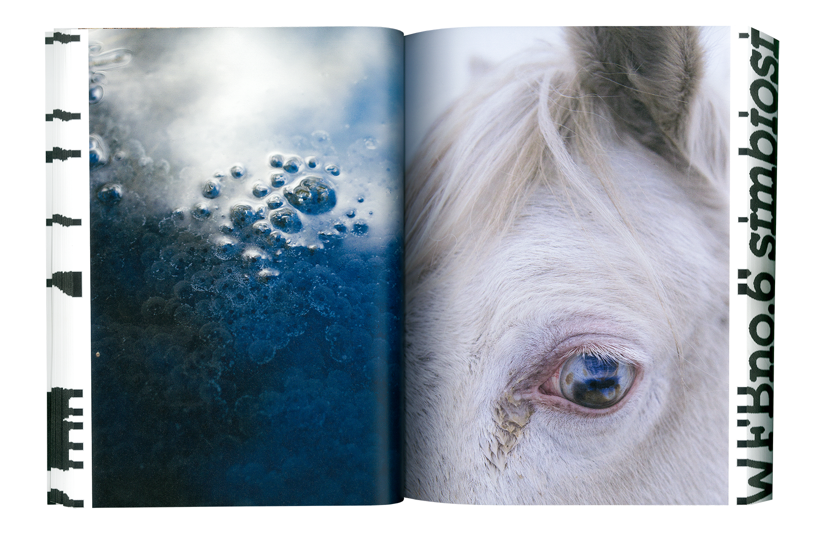 WFB magazine N.6
