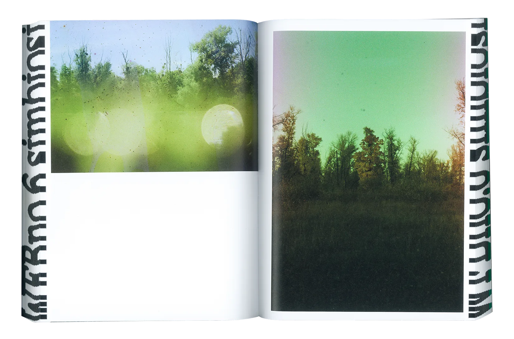 Where Flowers Bloom N.6