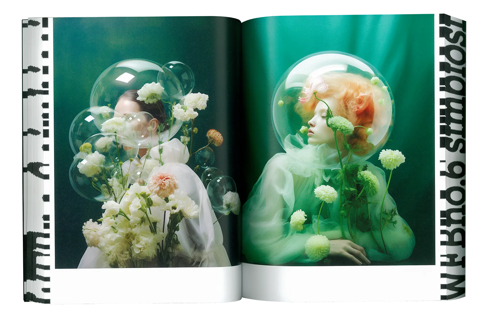 Where Flowers Bloom N.6