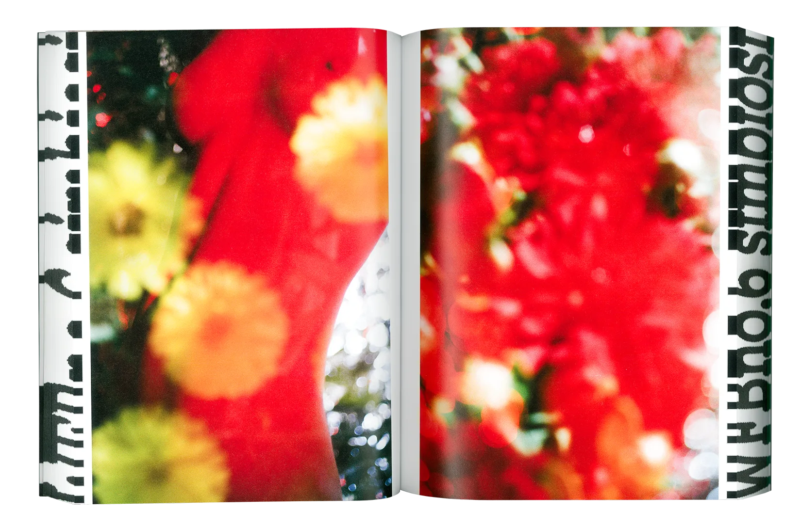 Where Flowers Bloom N.6